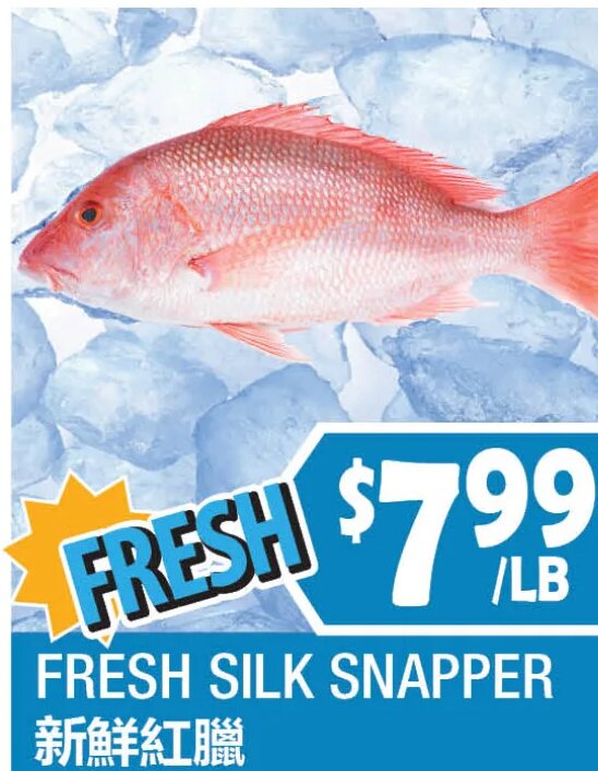 FRESH SILK SNAPPER