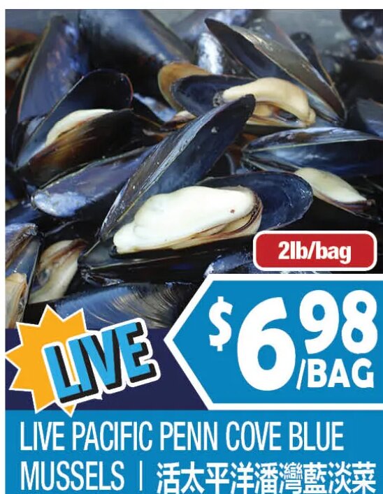 LIVE PACIFIC PENN COVE BLUE MUSSELS