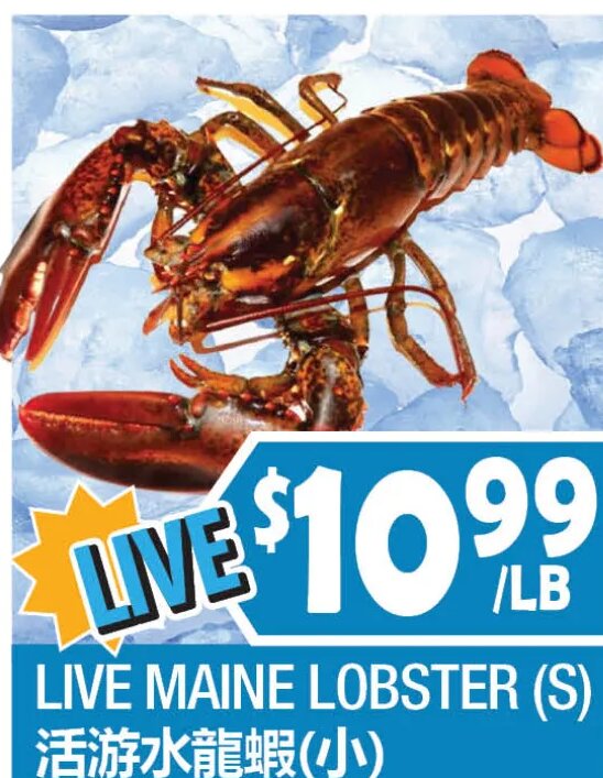LIVE MAINE LOBSTER (S)