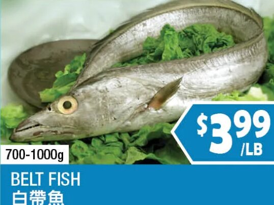 BELT FISH