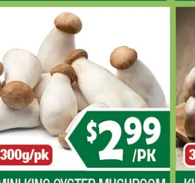 MINI KING OYSTER MUSHROOM