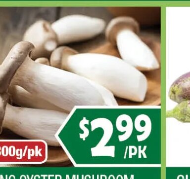 KING OYSTER MUSHROOM (KOREA)