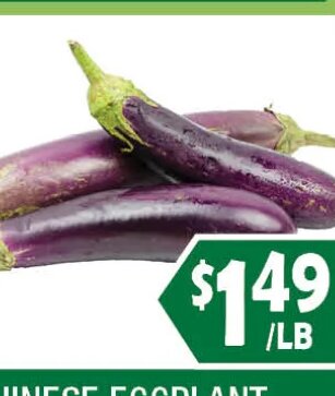 CHINESE EGGPLANT