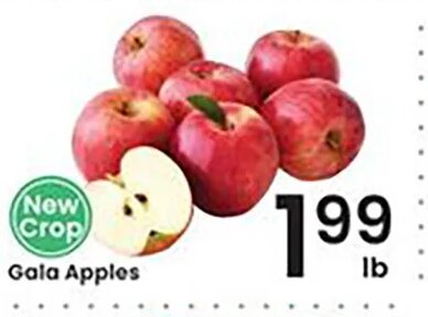 Gala Apples at Albertsons
