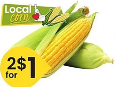 Sweet Corn