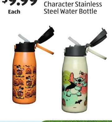 ZAK! Character Stainless Steel Water Bottle