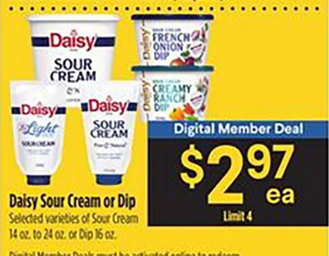 Daisy Sour Cream or Dip