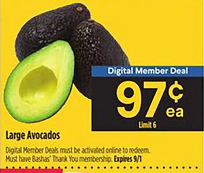Large Avocados at Bashas'