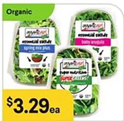 Organicgirl Salad Greens at Bashas'