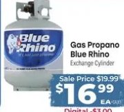 Gas Propano Blue Rhino