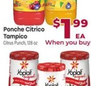 Ponche Citrico Tampico