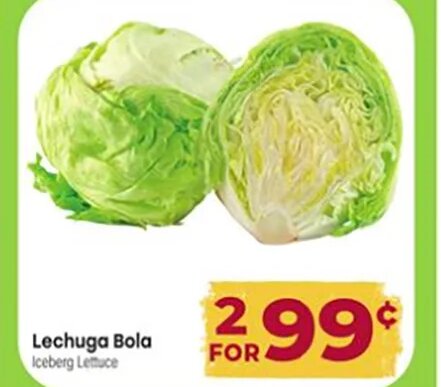Lechuga Bola