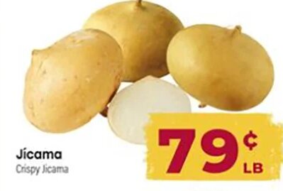 Jícama