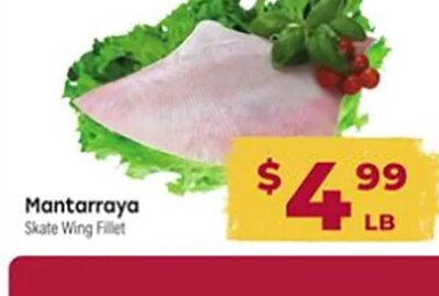 Mantarraya