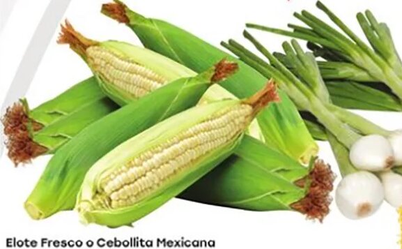 Elote Fresco o Cebollita Mexicana