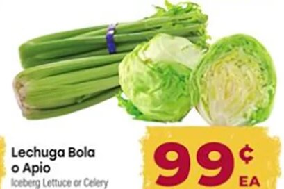 Lechuga Bola o Apio