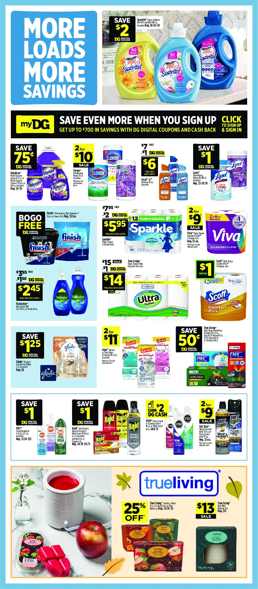 Dollar General Weekly Ad Page 10