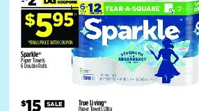Sparkle Paper Towels at Dollar General