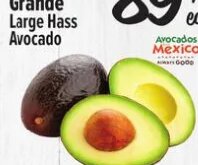 Aguacate Grande Large Hass Avocado