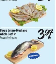 Bagre Entero Mediano