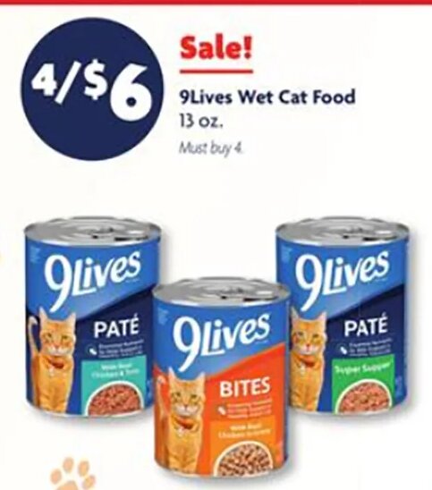 9Lives Wet Cat Food at Family Dollar