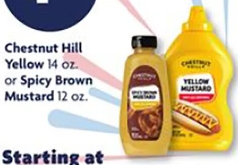 Chestnut Hill Yellow or Spicy Brown Mustard