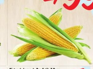 Elote Blanco at Fiesta Mart