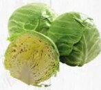 Repollo Verde