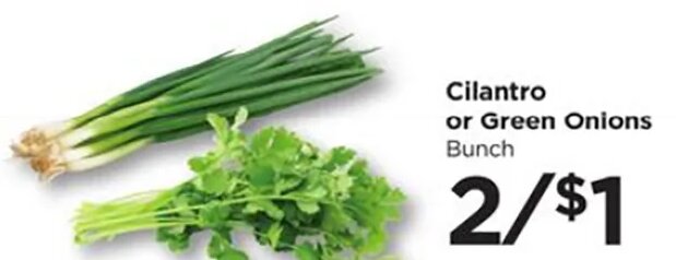 Cilantro or Green Onions