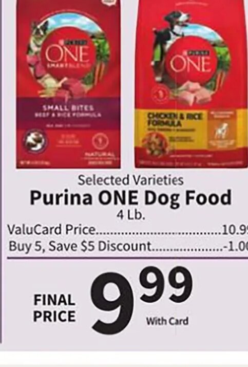 Purina ONE Dog Food at Food City