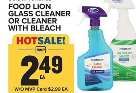 FOOD LION GLASS CLEANER OR CLEANER WITH BLEACH