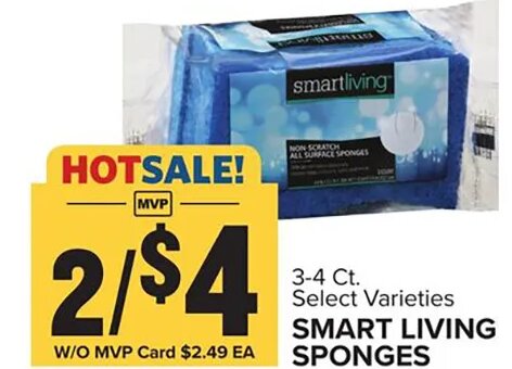SMART LIVING SPONGES