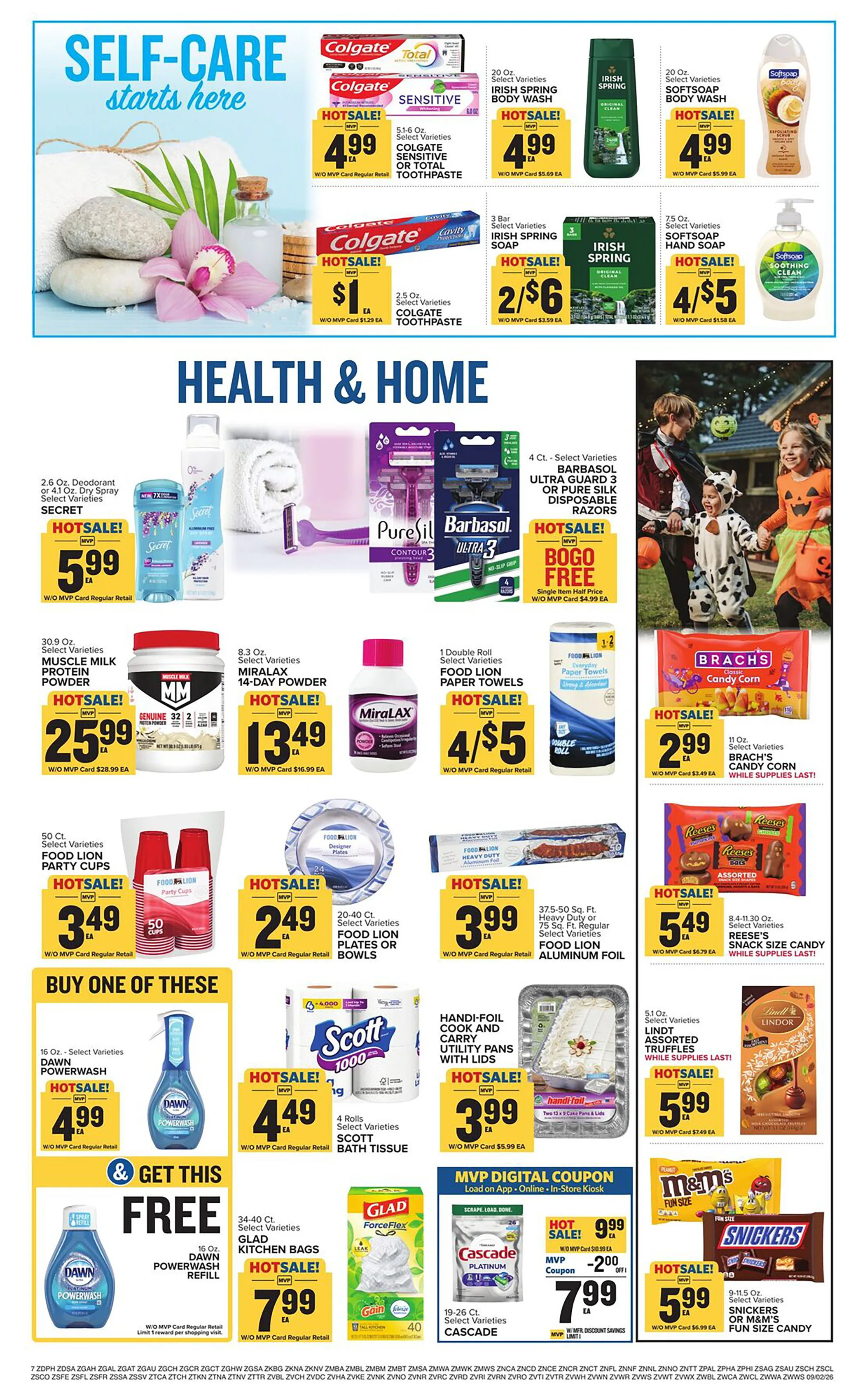 Food Lion Weekly Ad Page 14
