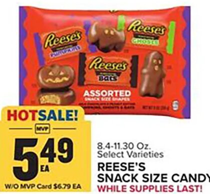 Reese's Snack Size Candy at Food Lion