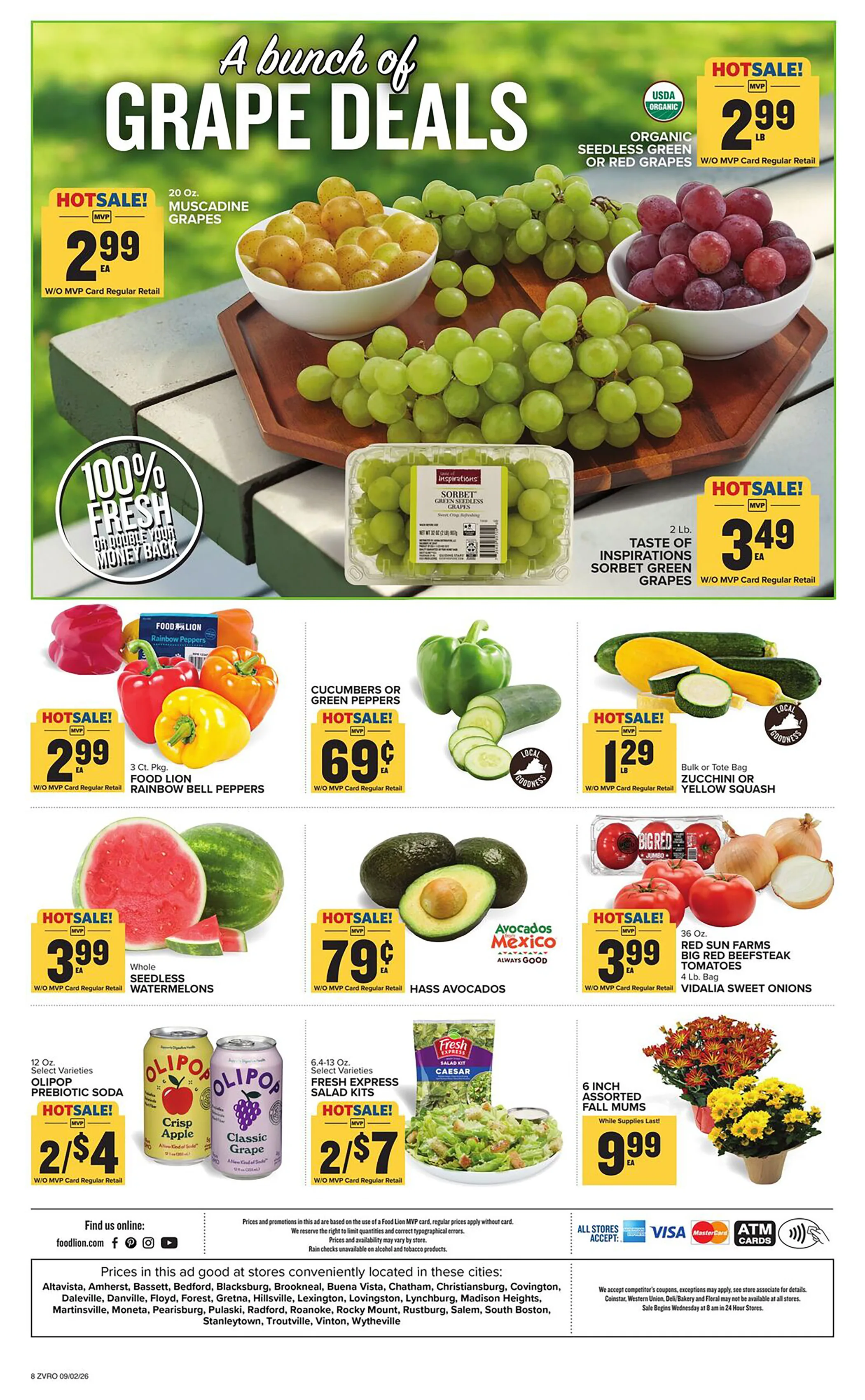 Food Lion Weekly Ad Page 3
