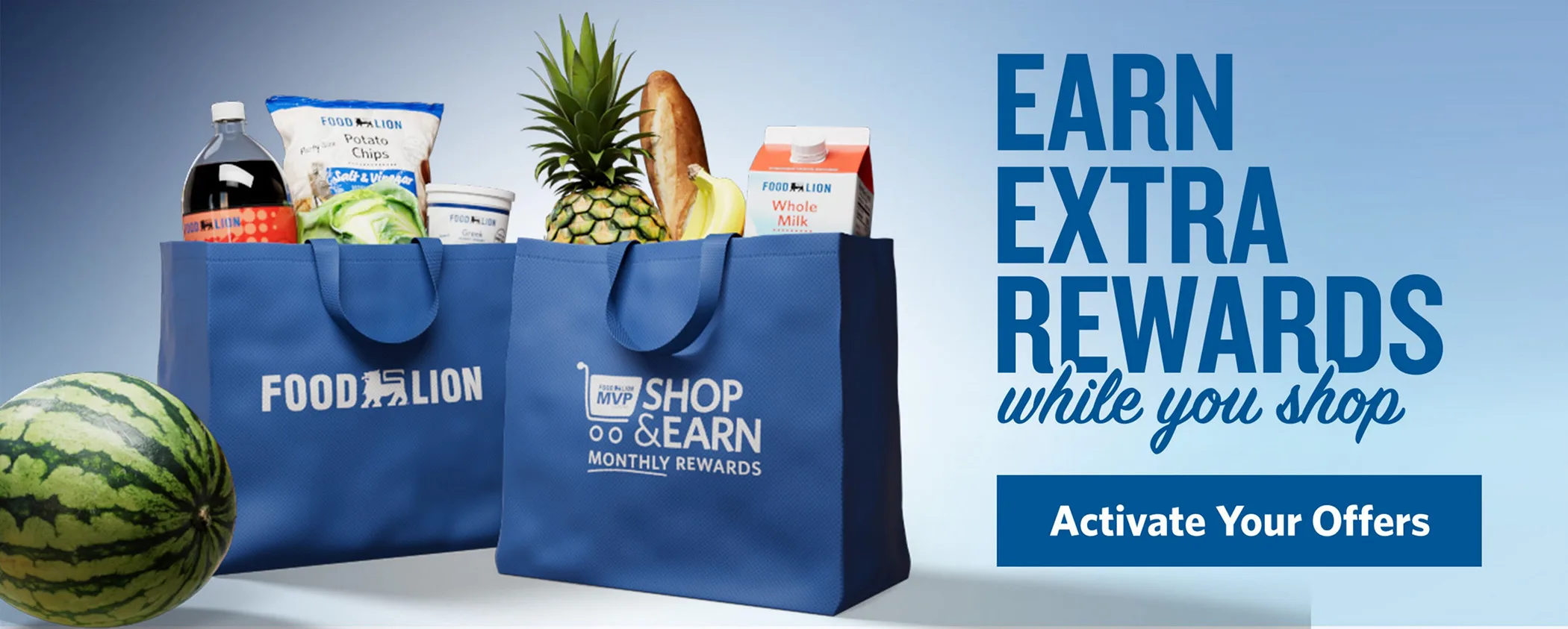 Food Lion Weekly Ad Page 7