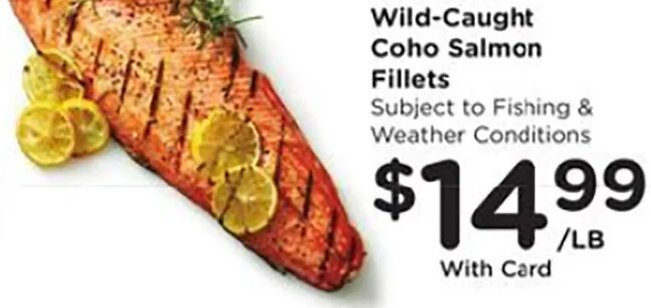 Fresh Wild-Caught Coho Salmon Fillets at Fred Meyer
