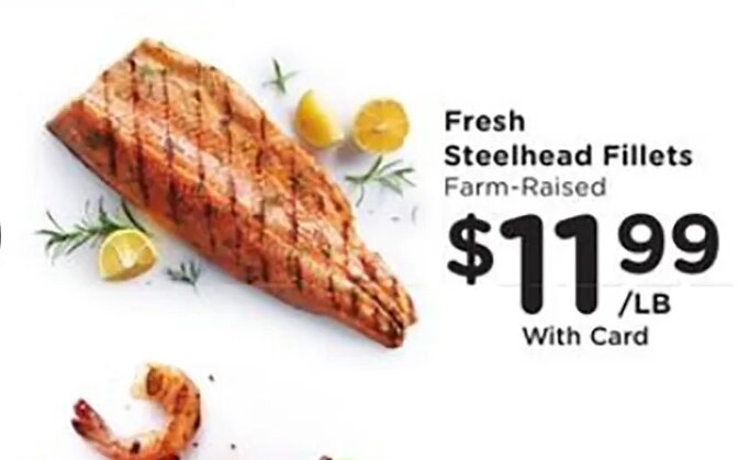 Fresh Steelhead Fillets