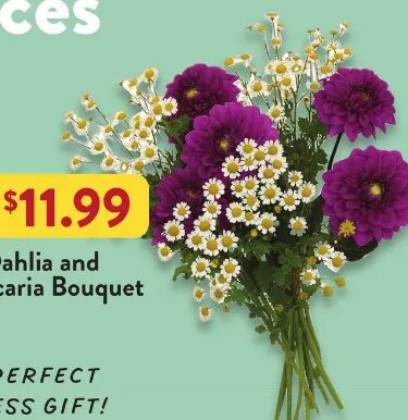 Dahlia and Matricaria Bouquet
