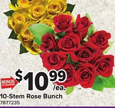 10-Stem Rose Bunch
