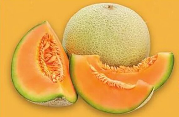 Cantaloupe