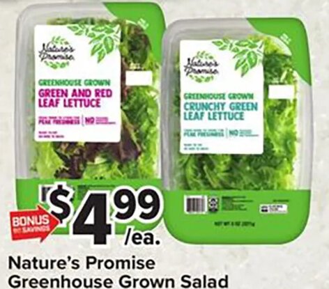 Nature's Promise Greenhouse Grown Salad