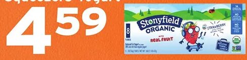 Stonyfield Organic Yokids Squeezers Yogurt