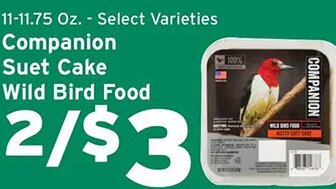 Companion Suet Cake Wild Bird Food