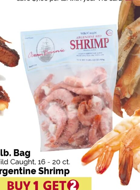 Argentine Shrimp