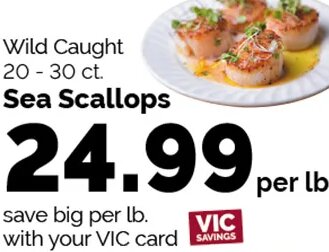Sea Scallops