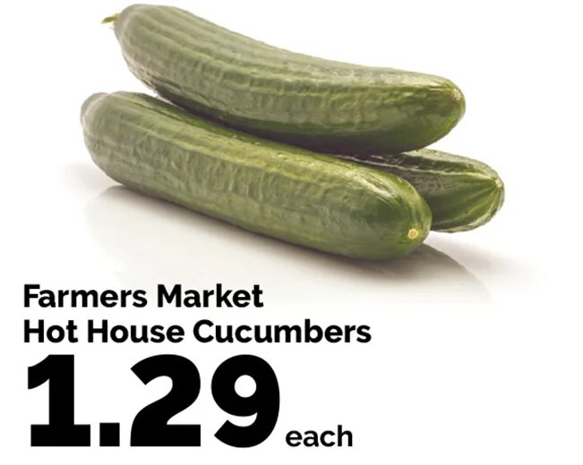 Farmers Market Hot House Cucumbers
