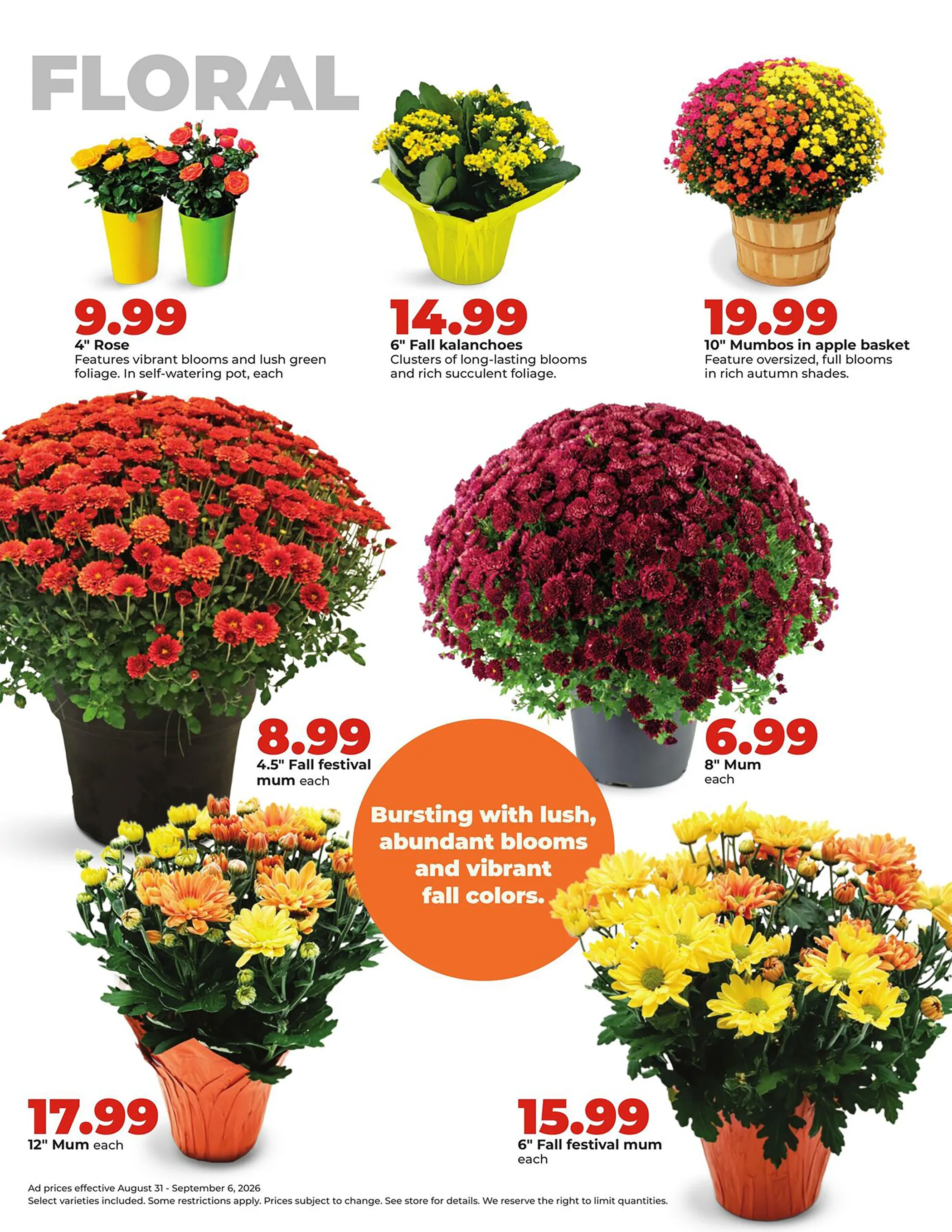 Hy-Vee Weekly Ad Page 37