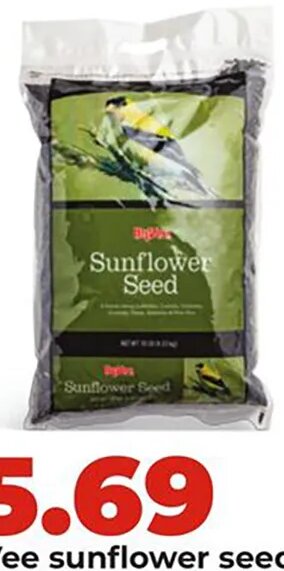 Hy-Vee sunflower seed