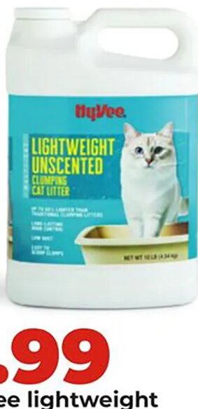 Hy-Vee lightweight clumping cat litter